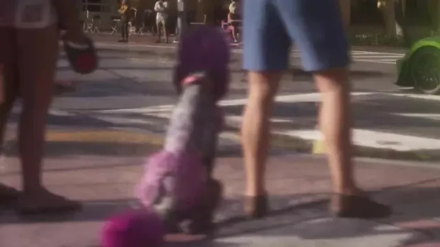 Dog (poodle type)