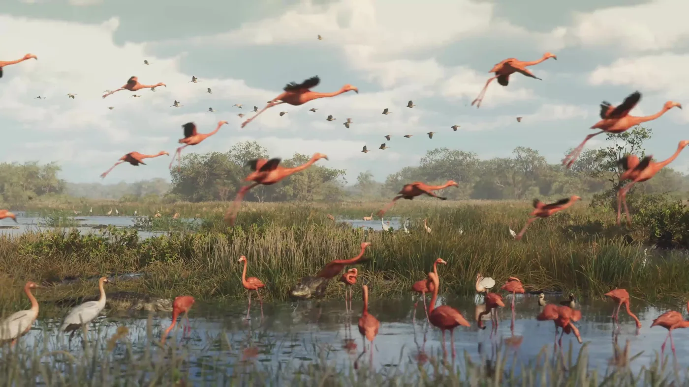 Flamingos - 0:21