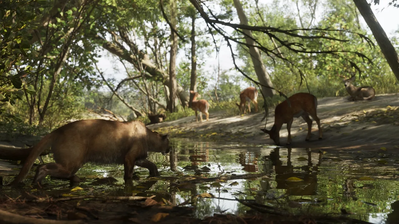 Mount Kalaga National Park — official screenshot 5 of 6