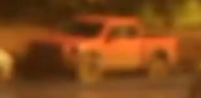 Vapid Caracara